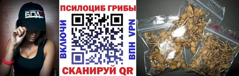 где купить наркотик  Монино  Галлюциногенные грибы Psilocybine cubensis 